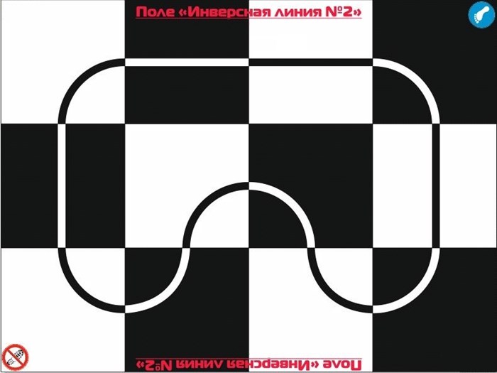 Поле Инверсная линия 3240 х 2430 мм - фото 115216698