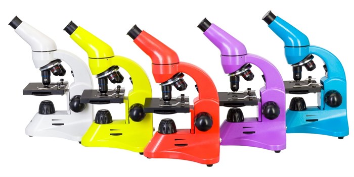 Микроскоп Levenhuk Rainbow 50L PLUS - фото 115253593