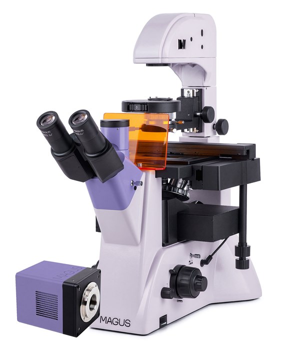 Микроскоп люминесцентный инвертированный цифровой MAGUS Lum VD500L - фото 115255510