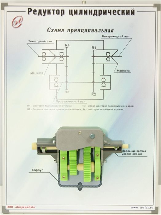 Учебный плакат-планшет «Редуктор цилиндрический» ✅ - фото 115311085