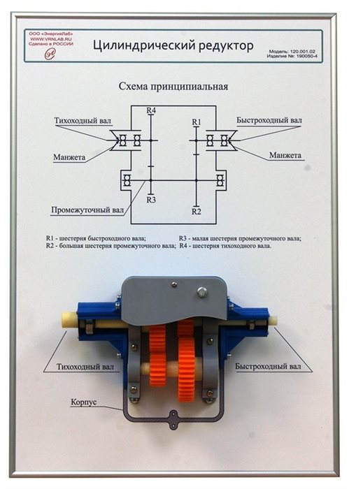 Плакат планшет с демонстрационной моделью «Цилиндрический редуктор» ✅ - фото 115311090