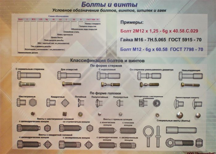 Учебный плакат-планшет «Болты и винты» ✅ - фото 115311420