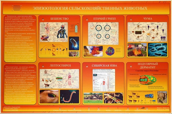 Электрифицированный стенд «Эпизоотология сельскохозяйственных животных» ✅ - фото 115311525