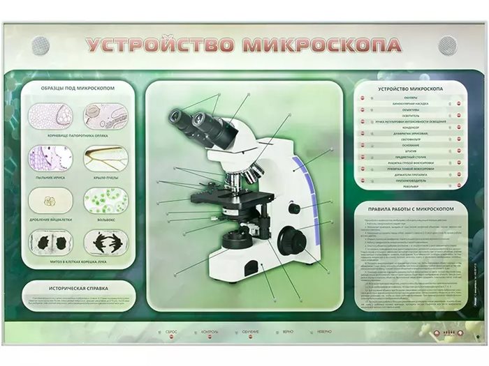 Электрифицированный стенд "Устройство микроскопа и правила работы c ним" Зарница ✅ - фото 115771255