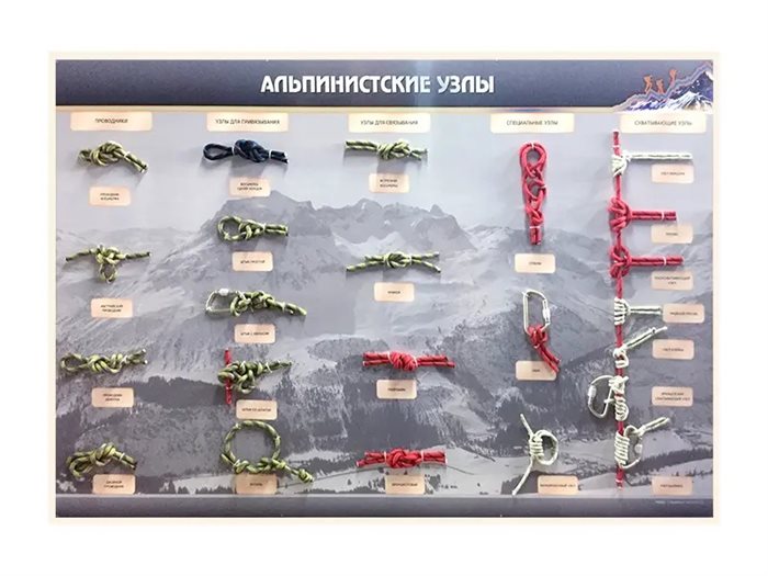 Демонстрационный стенд с оригинальными образцами "Альпинистские узлы" ✅ - фото 115901771
