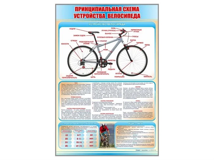 Стенд "Принципиальная схема устройства велосипеда" ✅ - фото 117478029