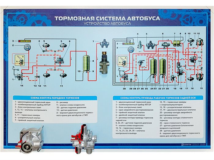 Стенд с разрезными агрегатами "Тормозная система автобуса" ✅ - фото 117478263