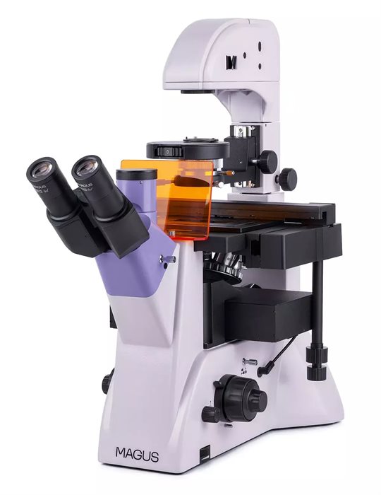 Микроскоп люминесцентный инвертированный MAGUS Lum V500L - фото 117479062