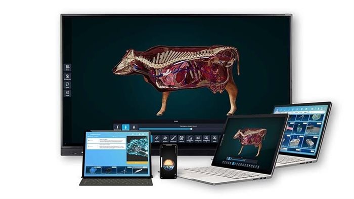 Интерактивное наглядное 3D пособие «Познание: Животные» ✅ - фото 117480142