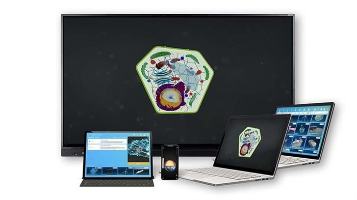 Интерактивное наглядное 3D пособие «Познание: Растения» ✅ - фото 117480143
