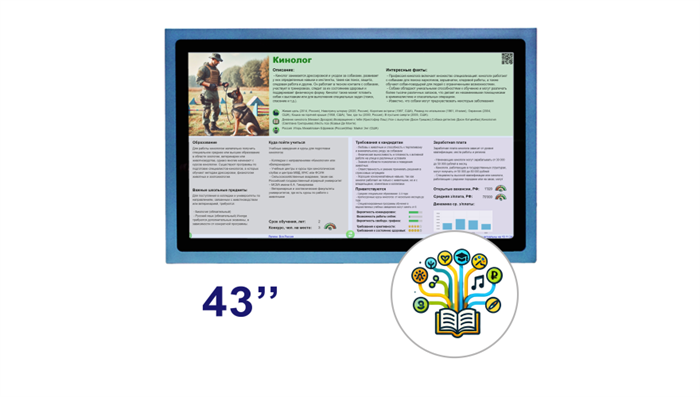 "Магазин Профессий", интерактивный стенд 43" - фото 121355276