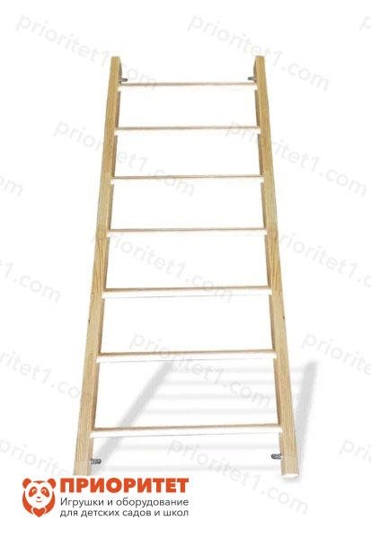 Детская шведская стенка Юный спортсмен - фото 121520707