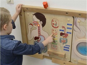 Панель "Пищеварительная система" Masterkidz
