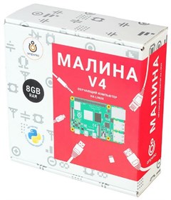 Образовательный набор Малина v4 (8 ГБ) AMP-S061
