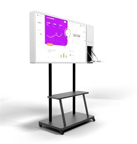 Интерактивная панель Storm S 55" (с документ камерой)