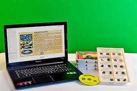 Коллекция натурально-интерактивная "Поделочные камни (полированные)" Строникум