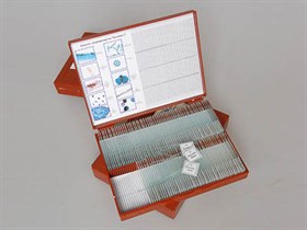 Комплект микропрепаратов "Ботаника 2" Строникум