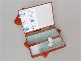 Комплект микропрепаратов "Ботаника 1" Строникум