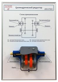 Плакат планшет с демонстрационной моделью «Цилиндрический редуктор» ✅
