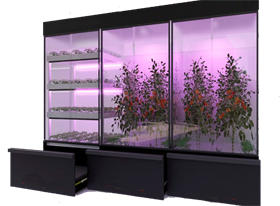 Лаборатория для зелени, овощей, малины Greenbar ПАК BIO_PRO_LABORATORI-31-365 ✅