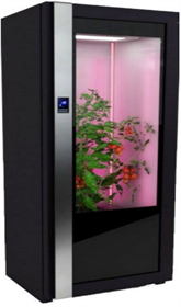 Лаборатория для овощей Greenbar ПАК LUX-TOM-PEPER-1 ✅