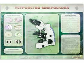 Электрифицированный стенд "Устройство микроскопа и правила работы c ним" Зарница ✅