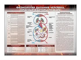 Стенд "Физиология дыхания человека. Опасные факторы пожара" Зарница ✅