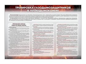 Стенд "Тренировка газодымозащитников в теплодымокамере" ✅