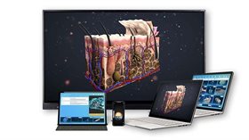 Интерактивное наглядное 3D пособие «Познание: Анатомия человека» ✅