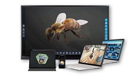 Интерактивное наглядное 3D пособие «Познание: Пчеловодство» ✅