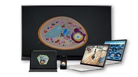 Интерактивное наглядное 3D пособие «Познание: Генетика и селекция» ✅