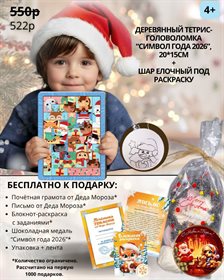 Вариант 2 Набор №12. Деревянный тетрис + Шар раскраска 4+ (с подарком) (2)