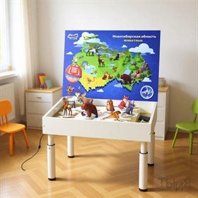 Методический комплекс "Родной край" (НСО)