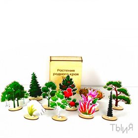 Обучающий набор «Растительный мир» (Новосибирская область)