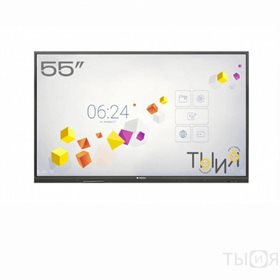 Мультимедийная интерактивная панель EDFLAT LITE 55" (ЭДФЛЭТ ЛАЙТ)