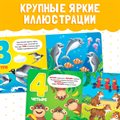 Картонная книга «Цифры», 10 стр. - фото 113830503