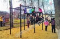 Рукоход двухсекционный с подъёмом и 3 турника - фото 114849439