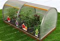 Грядка с теплицей - фото 114861818