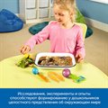 Комплект на группу "Юный исследователь: эксперименты в детском саду" Learning Resources MS0072 - фото 115202925 Комплект на группу "Юный исследователь: эксперименты в детском саду" Learning Resources MS0072 - фото 115202925