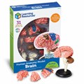 Развивающая игрушка "Анатомия человека. Мозг" (31 элемент) Learning Resources LER3335 - фото 115203541