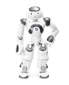 Человекоподобный робот NAO 6 - фото 115212666