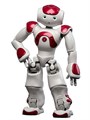 Человекоподобный робот NAO H25 Evolution V5 - фото 115212691