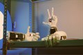 Учебно-демонстрационный комплекс человеко-машинного взаимодействия BiTronics Lab - фото 115217024