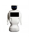 Робот консультант Promobot V2 Base на базе Promobot - фото 115219139