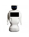 Робот консультант Promobot V2 Base на базе Promobot + - фото 115219147