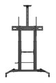 Стойка мобильная Digis DSM-P1106CH для панелей 55"-100" - фото 115243851