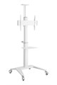 Стойка мобильная DSM-P764C для панелей 37"-70" - фото 115244001