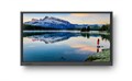 Интерактивная панель Newline TruTouch TT-7519RS-CE, 75" (без HDMI OUT) - фото 115246958