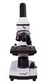 Микроскоп Levenhuk Rainbow 2L PLUS - фото 115252901