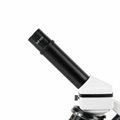 Микроскоп школьный Эврика 40х-1280х (с видеоокуляром, в кейсе) - фото 115252967